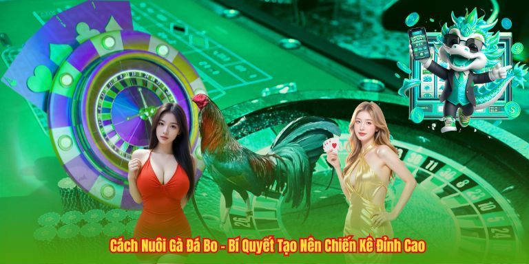 Cách Nuôi Gà Đá Bo – Bí Quyết Tạo Nên Chiến Kê Đỉnh Cao Cách Nuôi Gà Đá Bo – Bí Quyết Tạo Nên Chiến Kê Đỉnh Cao